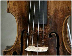 an antique violin
