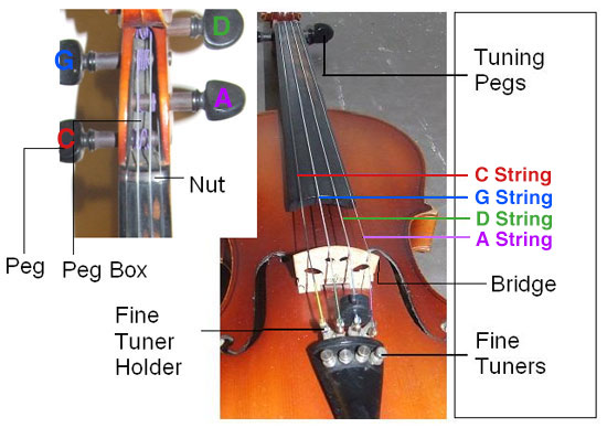 viola tuner detect notes