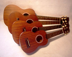 the different sizes of ukuleles