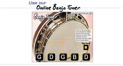 fifth strong banjo tuner with gears